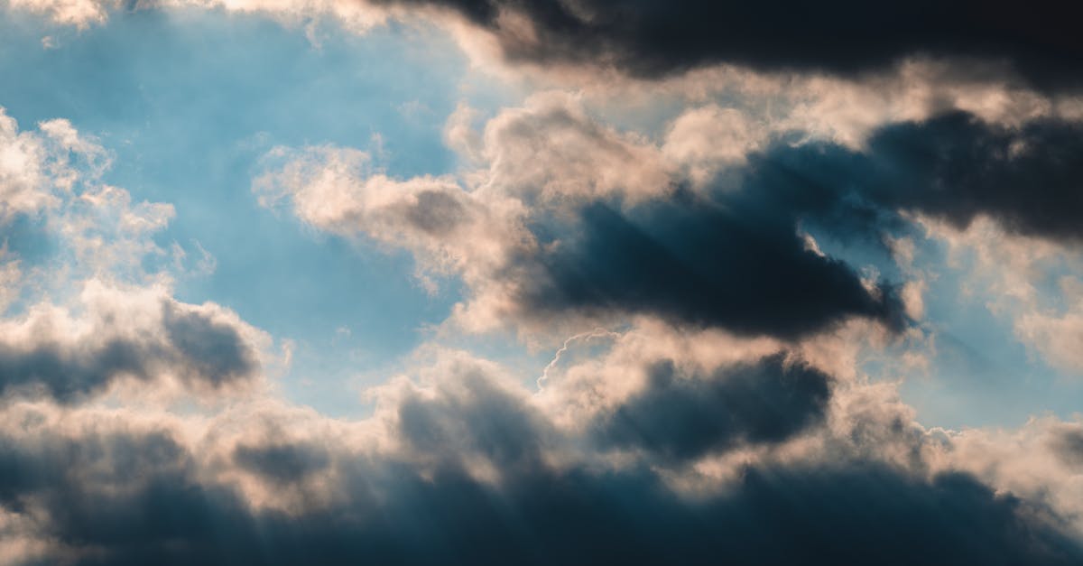 découvrez nos analyses approfondies sur les politiques climatiques, leur impact sur l'environnement et les stratégies mises en place pour lutter contre le changement climatique. informez-vous sur les initiatives gouvernementales et les actions individuelles pour un avenir durable.