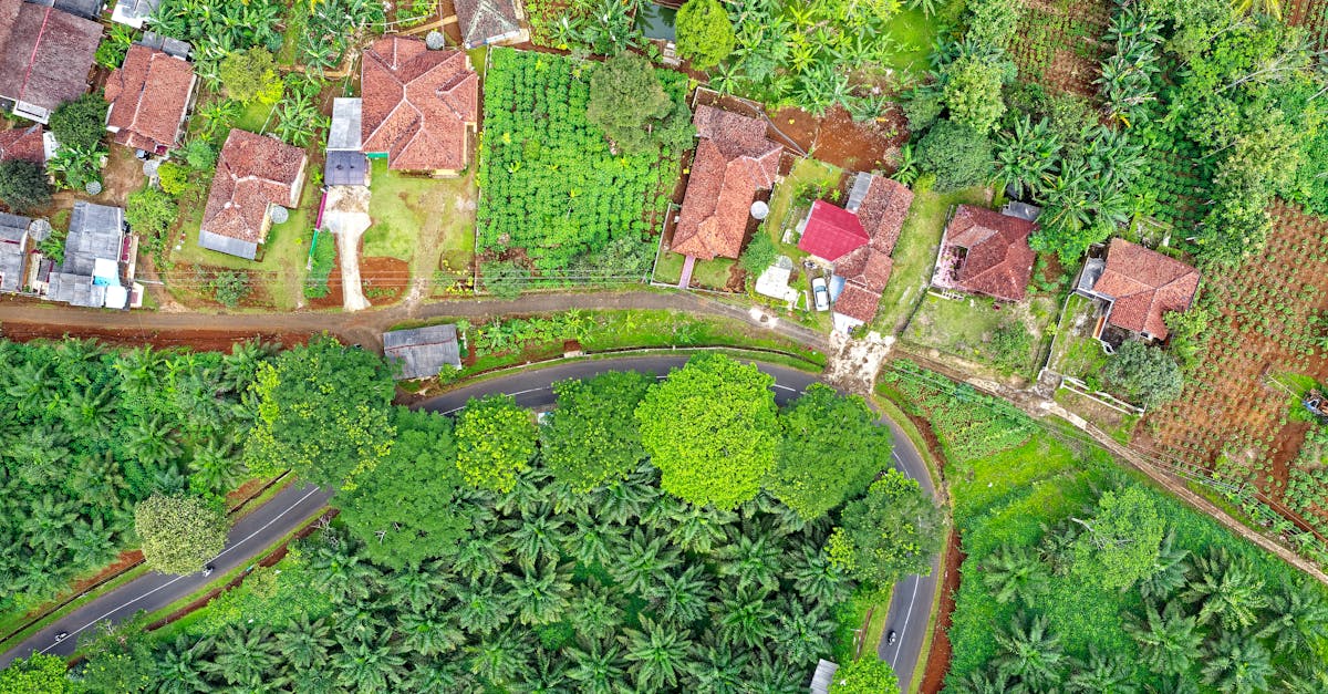 découvrez les cultures résilientes au climat, capables de s'adapter aux changements environnementaux. apprenez comment elles contribuent à la sécurité alimentaire et à la durabilité agricole face aux défis climatiques.