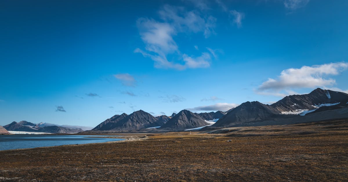 découvrez l'importance de la conservation de notre environnement, des espèces menacées et des ressources naturelles. apprenez des techniques et des initiatives pour préserver notre planète et favoriser un avenir durable.