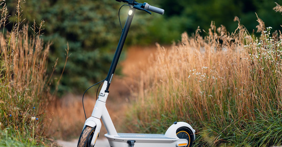 découvrez les dernières innovations écologiques qui transforment notre manière de vivre et de consommer. explorez des solutions durables et respectueuses de l'environnement qui ouvrent la voie vers un avenir plus vert.