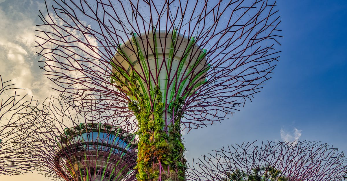 découvrez les dernières innovations écologiques qui transforment notre avenir. explorez des solutions durables et des technologies respectueuses de l'environnement qui promeuvent un mode de vie éco-responsable.
