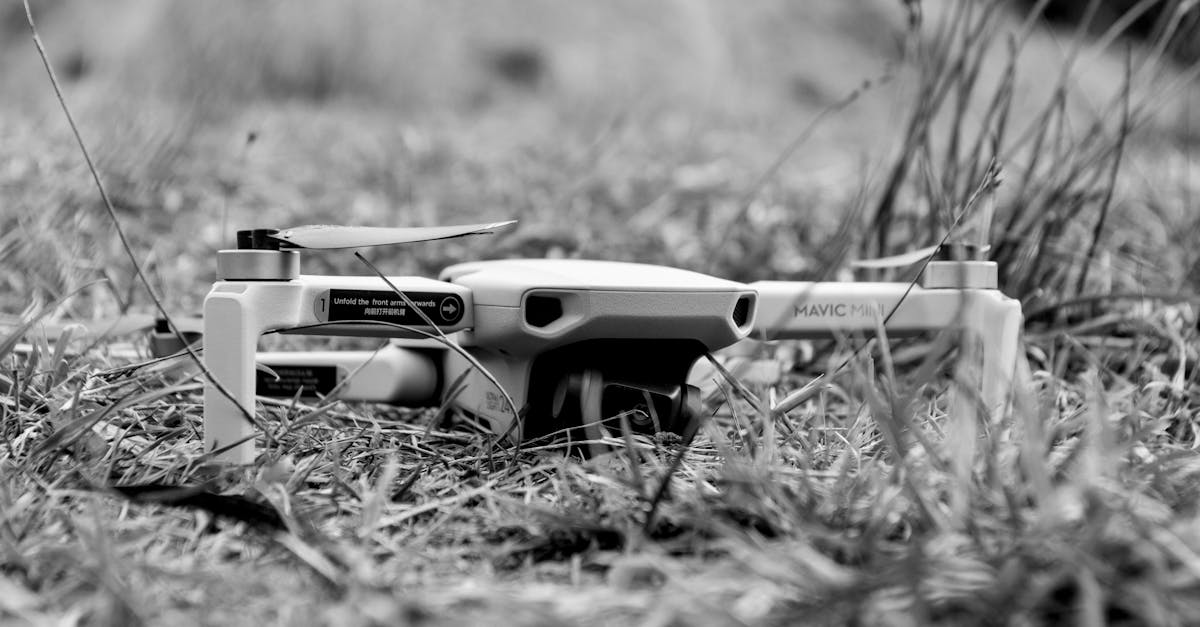 découvrez comment la surveillance écologique contribue à la protection de notre environnement. explorez les méthodes innovantes et les technologies avancées utilisées pour surveiller la biodiversité et préserver les écosystèmes. rejoignez le mouvement pour une planète plus verte.