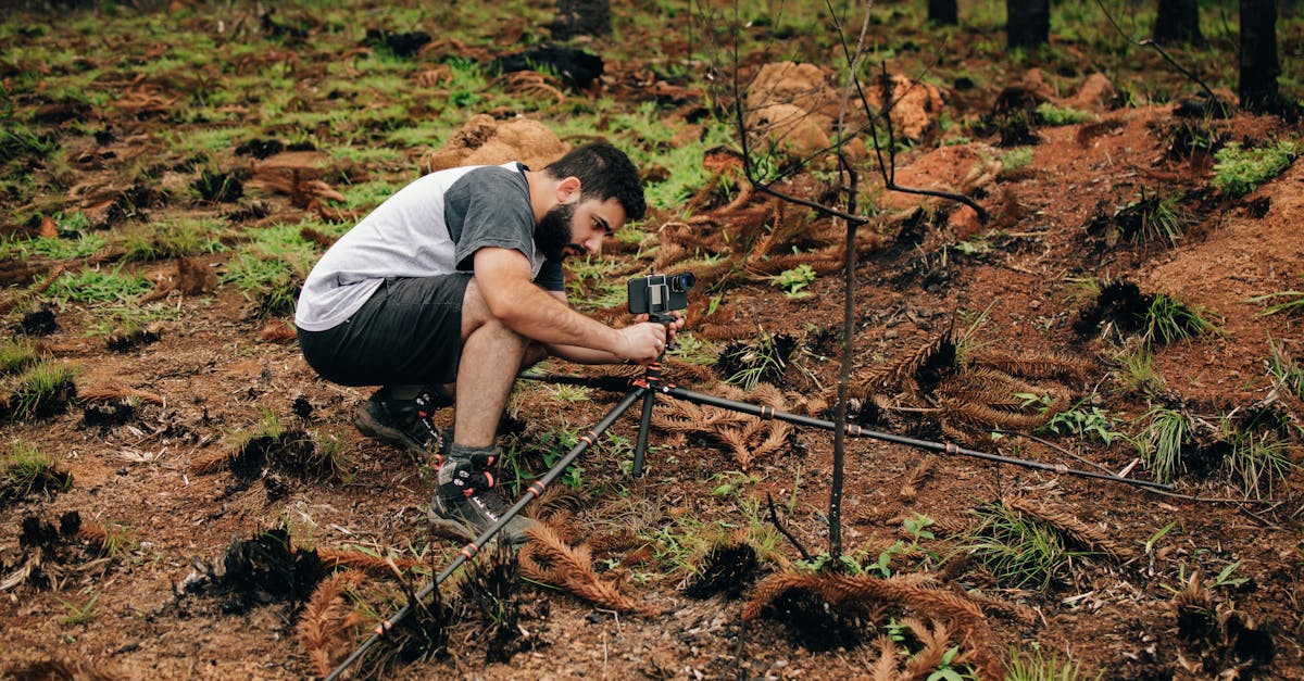 découvrez des études de cas environnementales révélatrices qui illustrent les défis et solutions face aux enjeux écologiques. apprenez comment différentes initiatives et projets contribuent à la protection de notre planète et inspirent des actions durables.