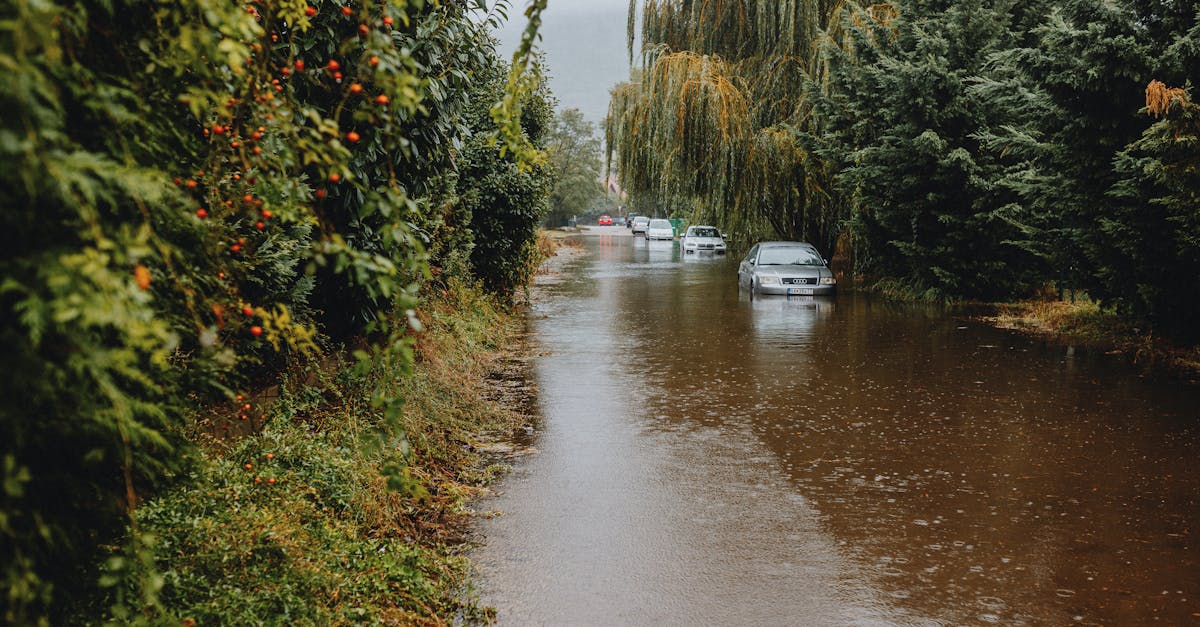 découvrez l'importance de l'évaluation des impacts environnementaux pour prendre des décisions éclairées sur les projets de développement. apprenez comment cette démarche permet de minimiser les effets néfastes sur l'environnement et d'assurer un avenir durable.