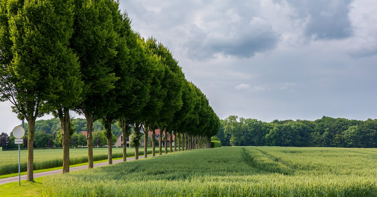 découvrez l'importance de la planification environnementale pour un développement durable. apprenez comment intégrer des pratiques écologiques dans la gestion des ressources et l'aménagement du territoire.