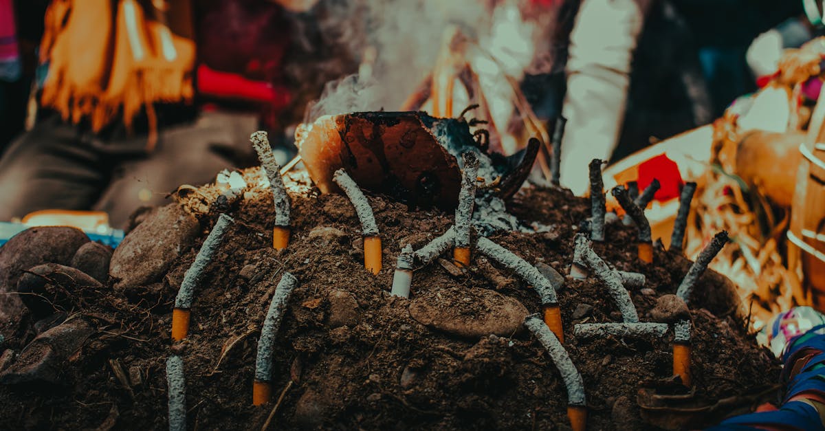 découvrez les principaux risques environnementaux qui menacent notre planète, leurs impacts sur la biodiversité et les actions à entreprendre pour les minimiser. informez-vous sur les défis majeurs pour un développement durable.