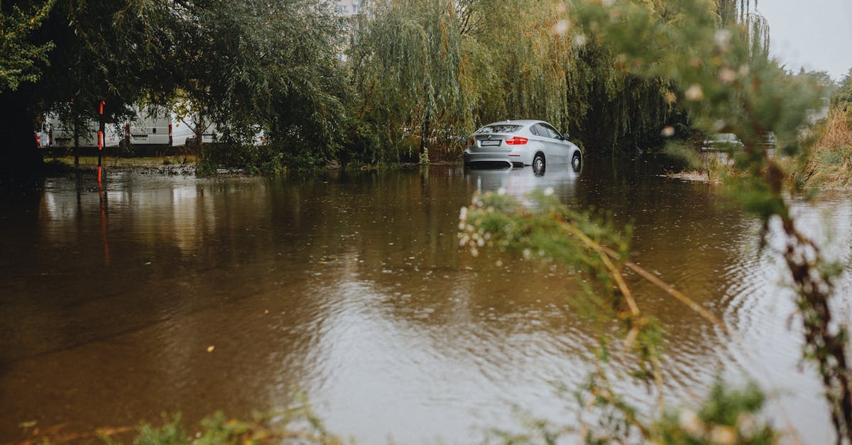 découvrez les risques environnementaux majeurs auxquels notre planète est confrontée, des changements climatiques à la pollution. informez-vous sur les impacts sur la biodiversité et la santé humaine, et explorez des solutions durables pour préserver notre environnement.