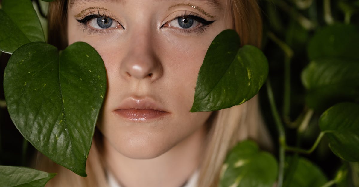 découvrez les dernières tendances environnementales qui façonnent notre planète. explorez les innovations durables, les initiatives écologiques et les comportements responsables pour un avenir plus vert.