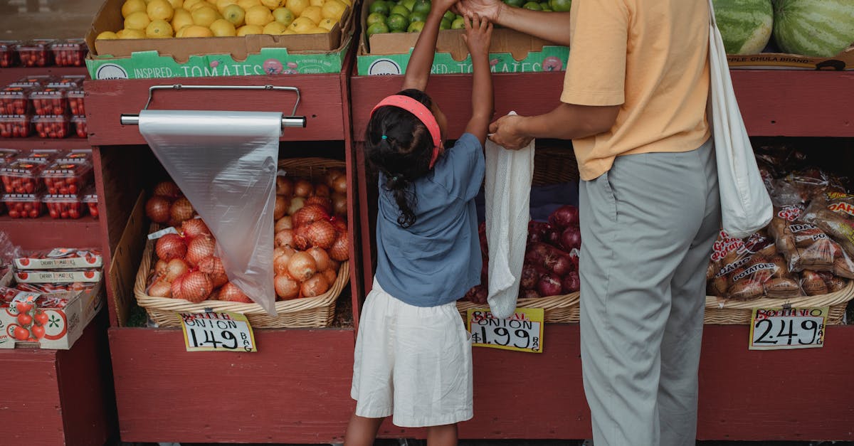 découvrez les tendances des prix alimentaires et comment ils évoluent dans le temps. restez informé sur l'impact économique sur votre budget et explorez des conseils pour bien gérer vos dépenses liées à l'alimentation.
