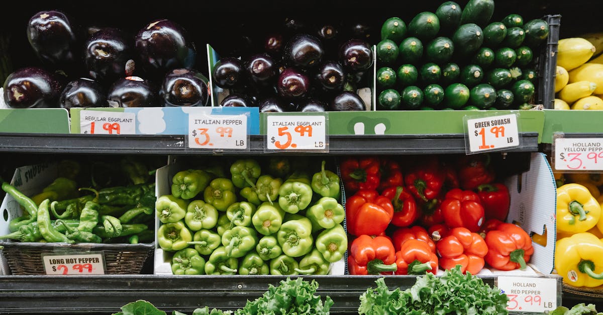 découvrez les tendances et les fluctuations des prix des aliments. analysez les facteurs qui influencent les coûts, des récoltes aux supermarchés, et apprenez comment gérer votre budget alimentaire efficacement.