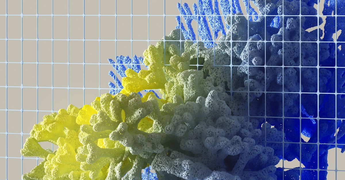 découvrez les technologies vertes, une approche innovante et durable pour préserver notre environnement. apprenez comment ces solutions écologiques transforment notre quotidien, réduisent notre empreinte carbone et favorisent un avenir plus sain.