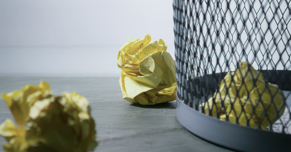 découvrez l'importance du recyclage pour préserver notre planète. apprenez les différentes techniques de recyclage, les matériaux recyclables et comment chacun peut contribuer à un avenir durable grâce à des gestes simples au quotidien.