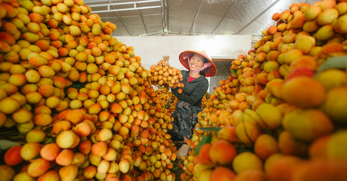 découvrez l'économie régénérative, un modèle innovant qui vise à restaurer les écosystèmes tout en favorisant la durabilité et la prospérité économique. apprenez comment cette approche contribue à un avenir plus sain et équilibré pour notre planète.