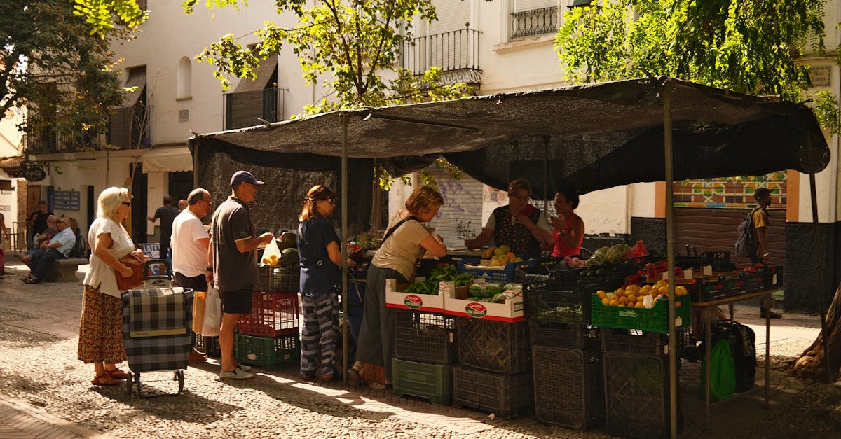 découvrez comment les communautés durables transforment nos modes de vie en privilégiant l'économie circulaire, la préservation de l'environnement et le bien-être social. explorez des initiatives inspirantes qui favorisent des pratiques respectueuses et un avenir meilleur pour tous.