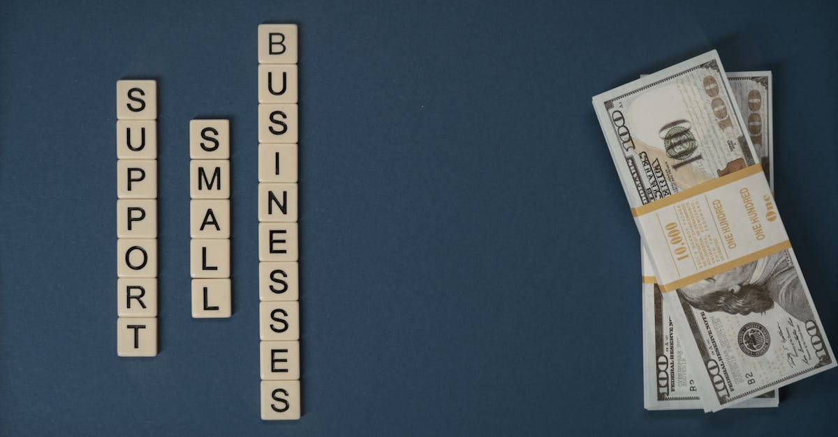 découvrez comment la finance durable réconcilie rentabilité et responsabilité environnementale. explorez des solutions d'investissement éthiques qui favorisent un avenir plus vert et soutiennent des projets bénéfiques pour la planète.