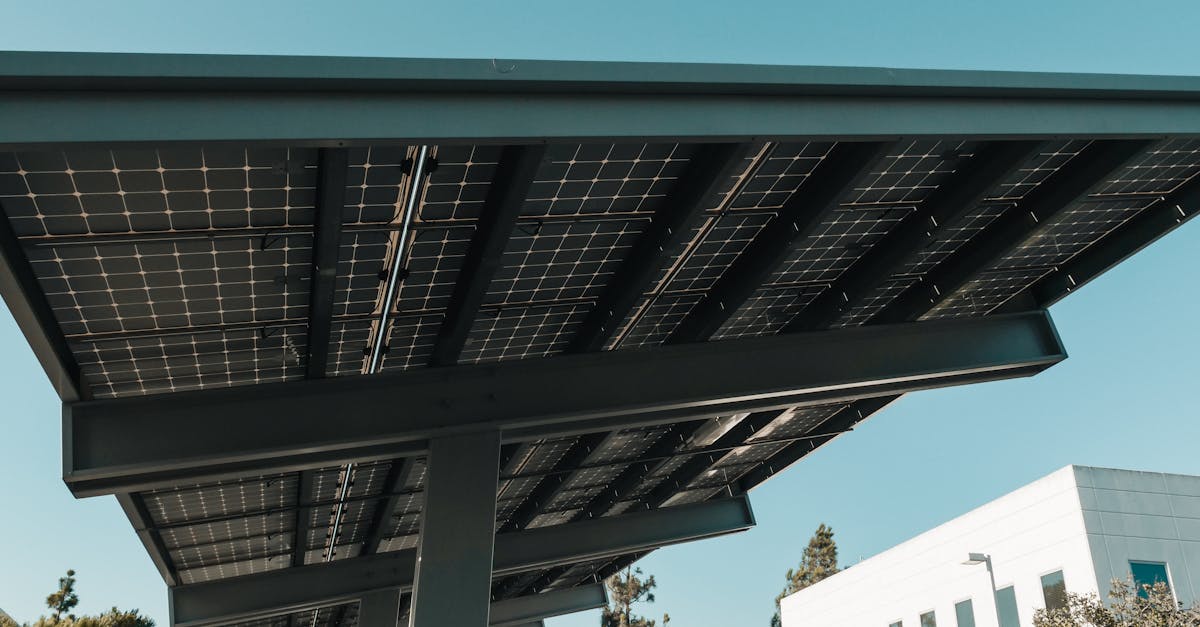 découvrez des solutions durables qui allient innovation et respect de l'environnement. engagez-vous pour un avenir plus vert grâce à nos conseils et stratégies adaptées.