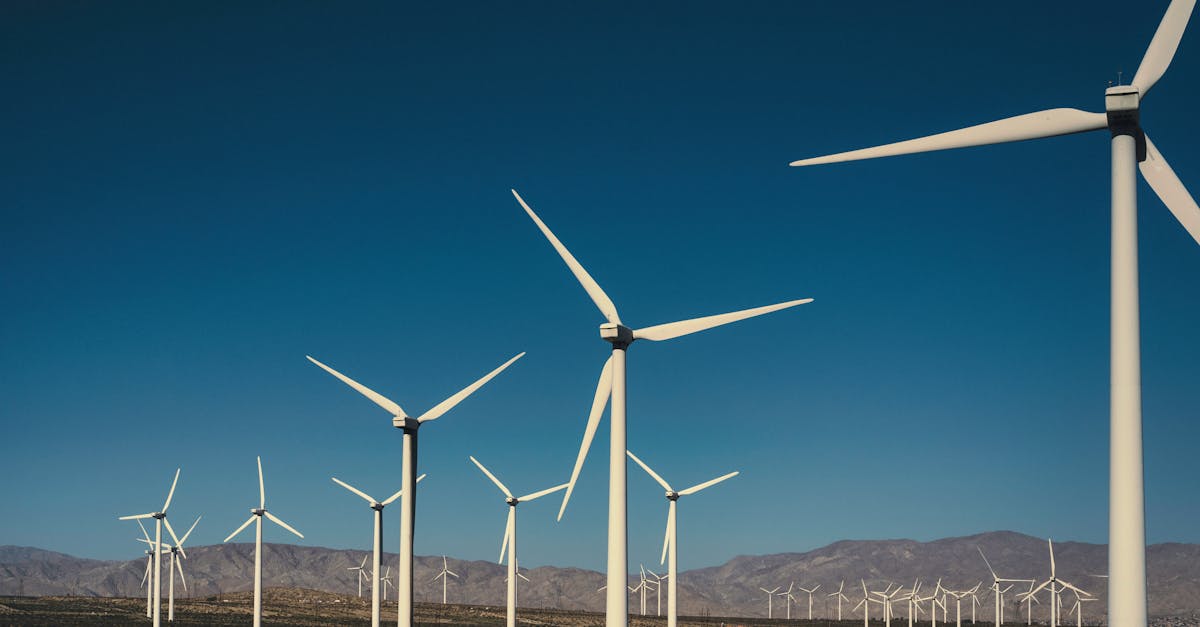 découvrez comment une politique industrielle durable peut transformer les entreprises en intégrant des pratiques respectueuses de l'environnement, favoriser l'innovation et stimuler la croissance économique tout en préservant les ressources pour les générations futures.