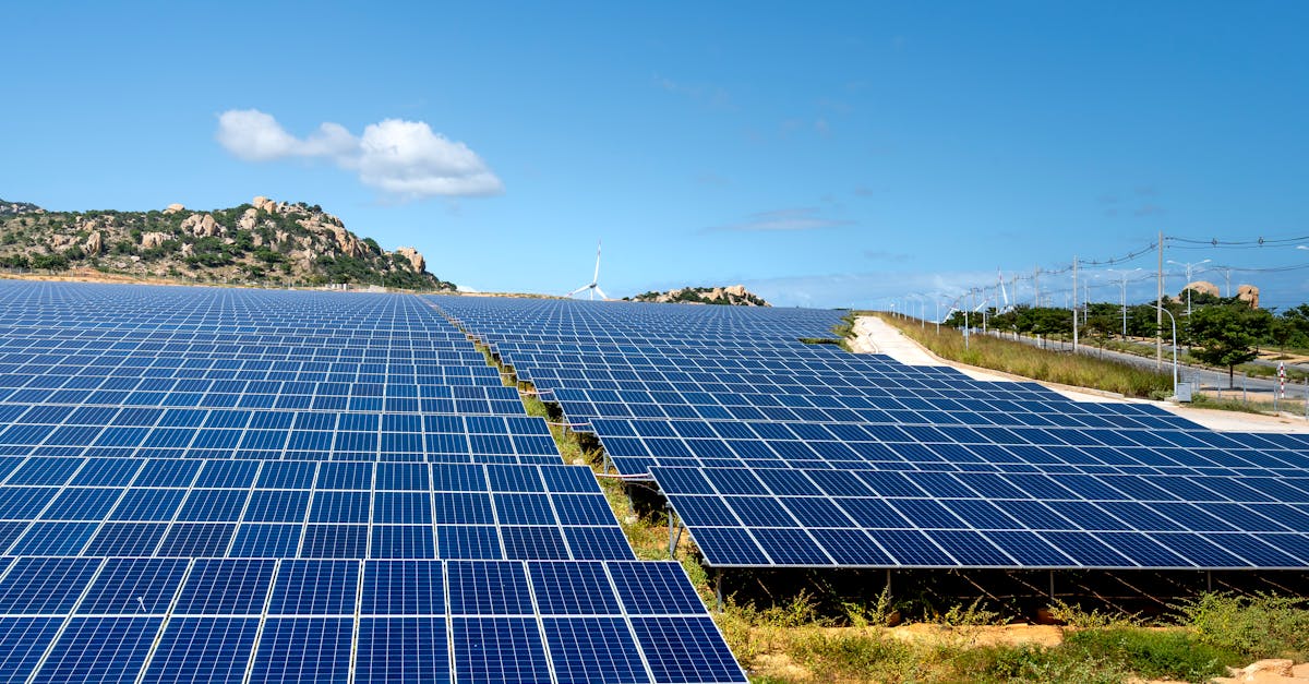 découvrez des solutions innovantes et efficaces pour lutter contre le changement climatique, réduire les émissions de carbone et préserver l'environnement pour les générations futures.