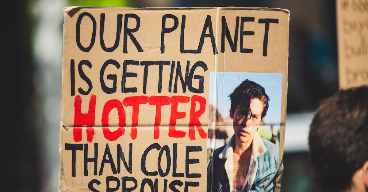 découvrez comment l'activisme climatique agit pour sensibiliser, promouvoir des politiques durables et encourager l'action collective face aux enjeux environnementaux. rejoignez le mouvement en faveur de la planète !