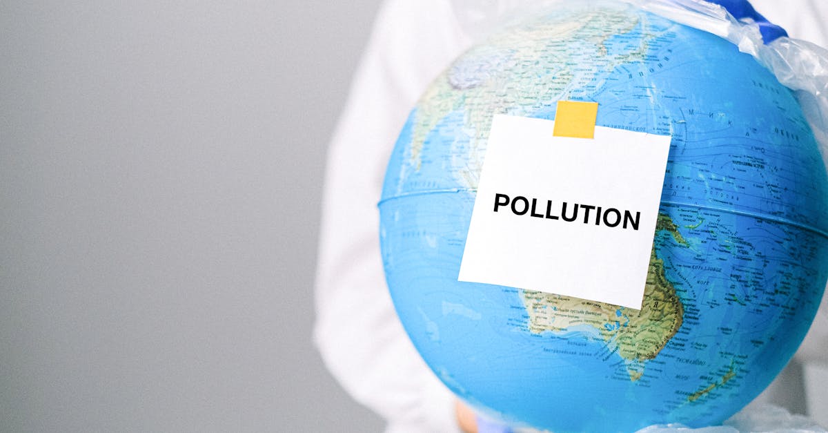 découvrez les causes, conséquences et solutions à la crise climatique. informez-vous sur l'impact du changement climatique et les actions à entreprendre pour préserver notre planète.
