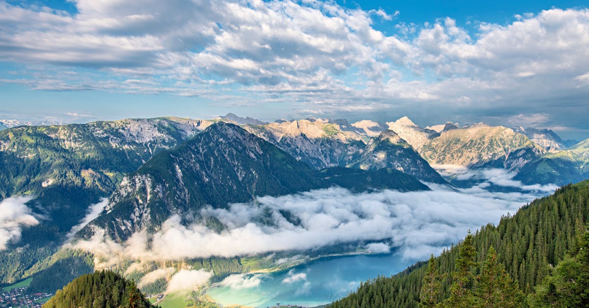 découvrez nos engagements climatiques essentiels pour un avenir durable. informez-vous sur les obligations légales, les initiatives vertes et les actions nécessaires pour lutter contre le changement climatique. agissons ensemble pour protéger notre planète.
