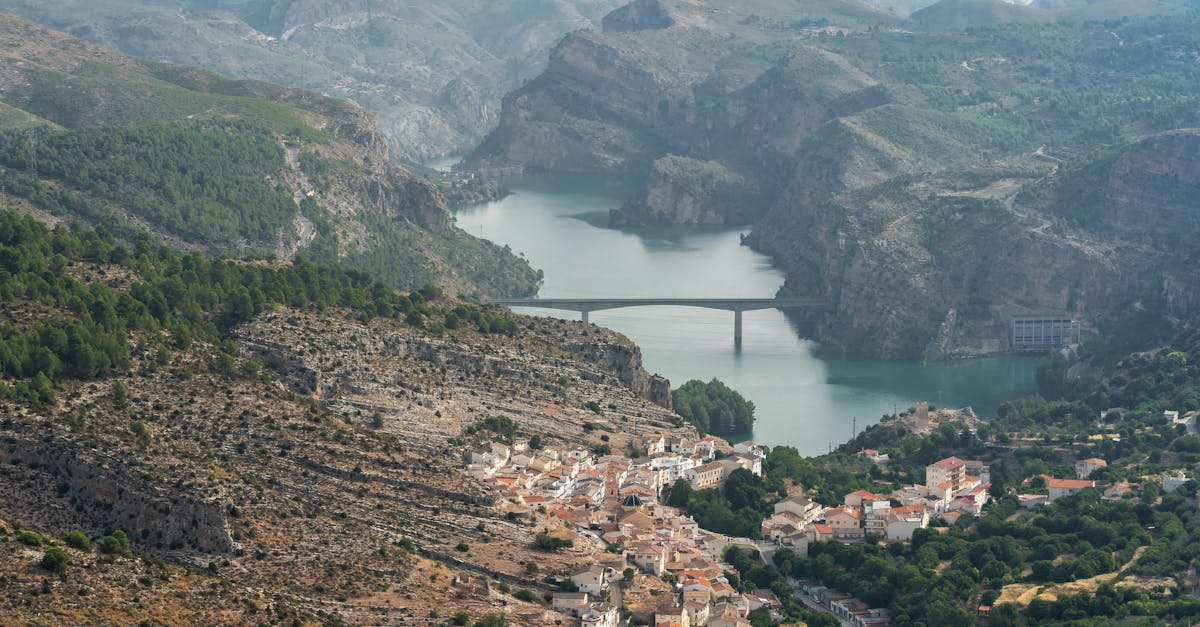 découvrez les politiques climatiques actuelles, leurs enjeux et leurs impacts sur l'environnement. informez-vous sur les solutions proposées pour lutter efficacement contre le changement climatique à l’échelle mondiale et locale.