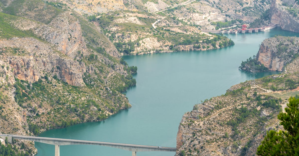 découvrez des solutions concrètes pour lutter contre le changement climatique : innovations, conseils et initiatives pour un avenir durable.