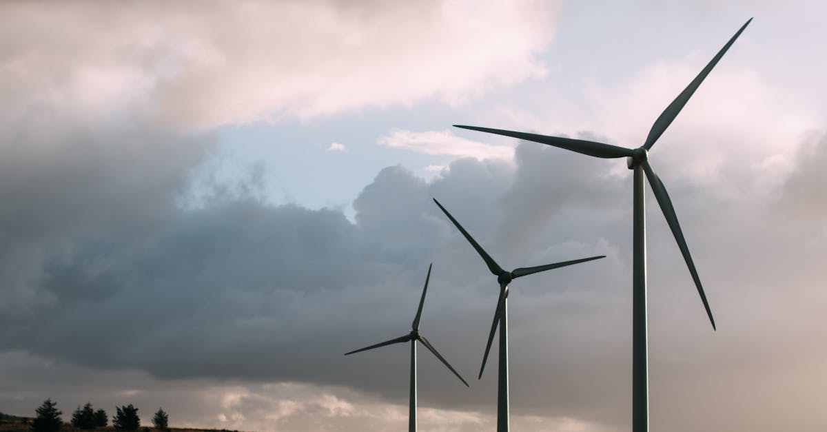 découvrez des solutions concrètes pour lutter contre le changement climatique : innovations, initiatives durables et actions pour un futur plus vert.