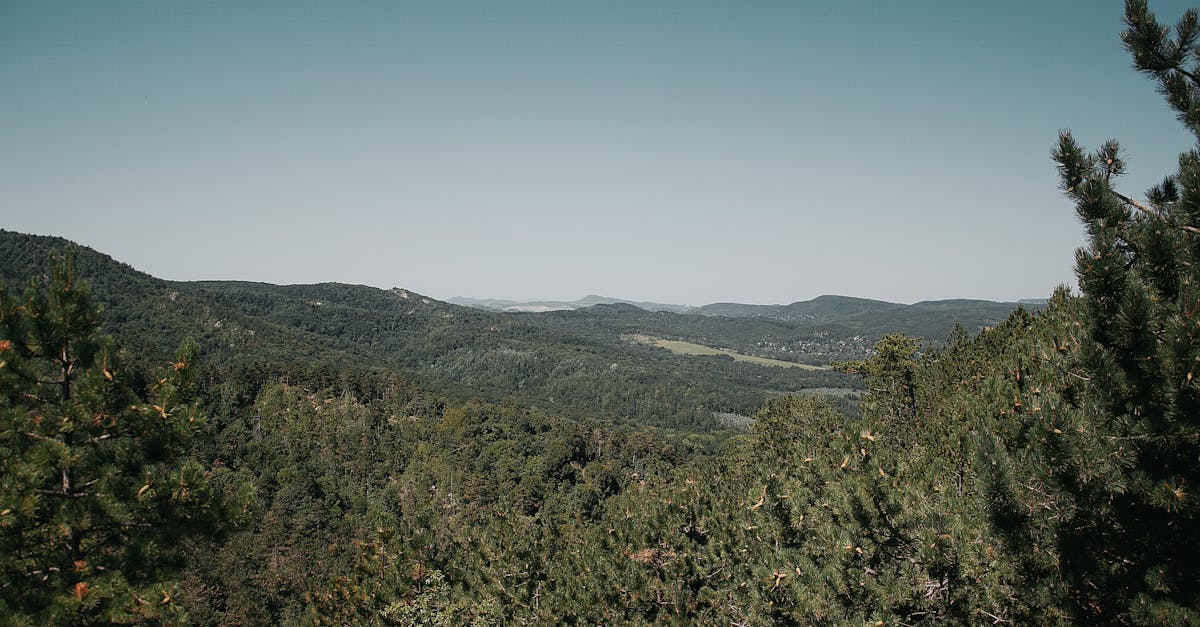 découvrez comment l'éco-innovation favorise le développement durable en intégrant des solutions respectueuses de l'environnement dans l'industrie, les technologies et notre quotidien.