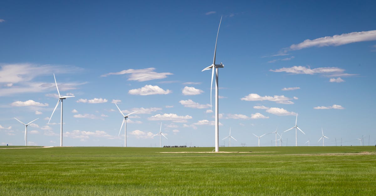 découvrez comment l'innovation écologique révolutionne les pratiques durables, réduit l'impact environnemental et favorise un avenir plus vert grâce à des solutions novatrices pour préserver la planète.
