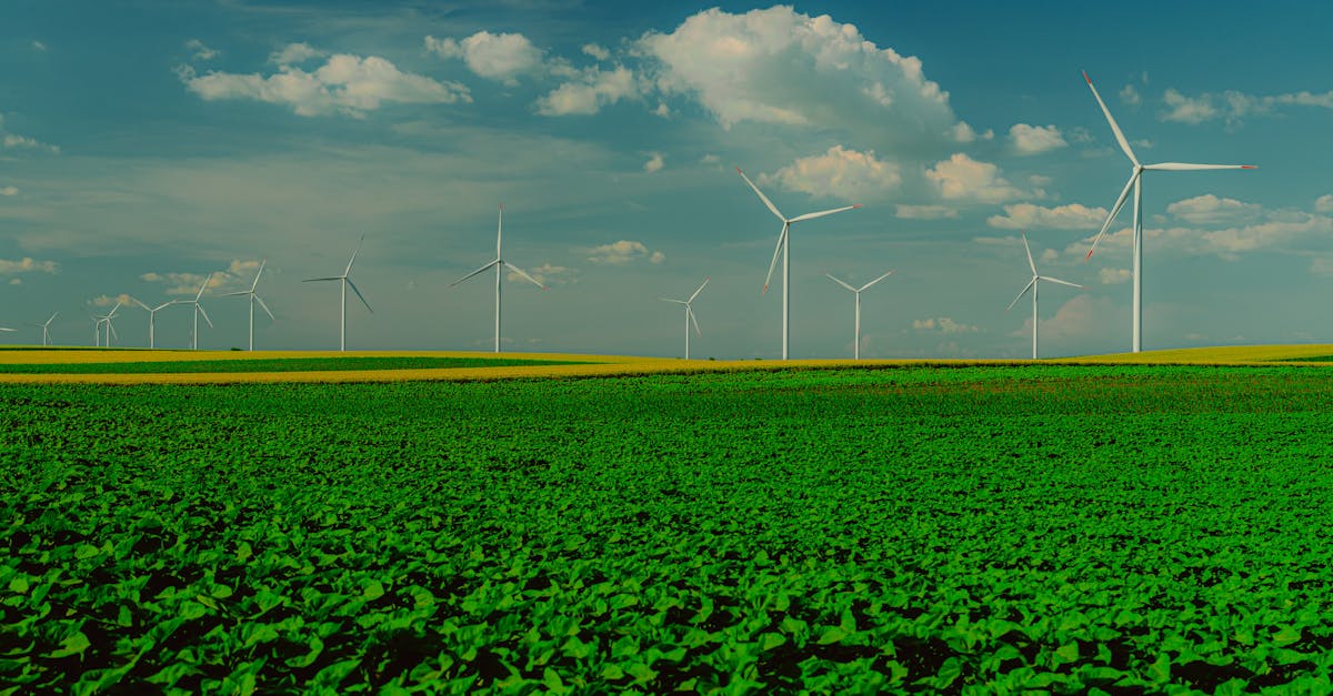 découvrez comment l'innovation écologique transforme les secteurs industriels en adoptant des solutions durables, respectueuses de l'environnement et bénéfiques pour la planète. explorez les nouvelles tendances, technologies vertes et initiatives responsables qui favorisent un avenir plus propre.