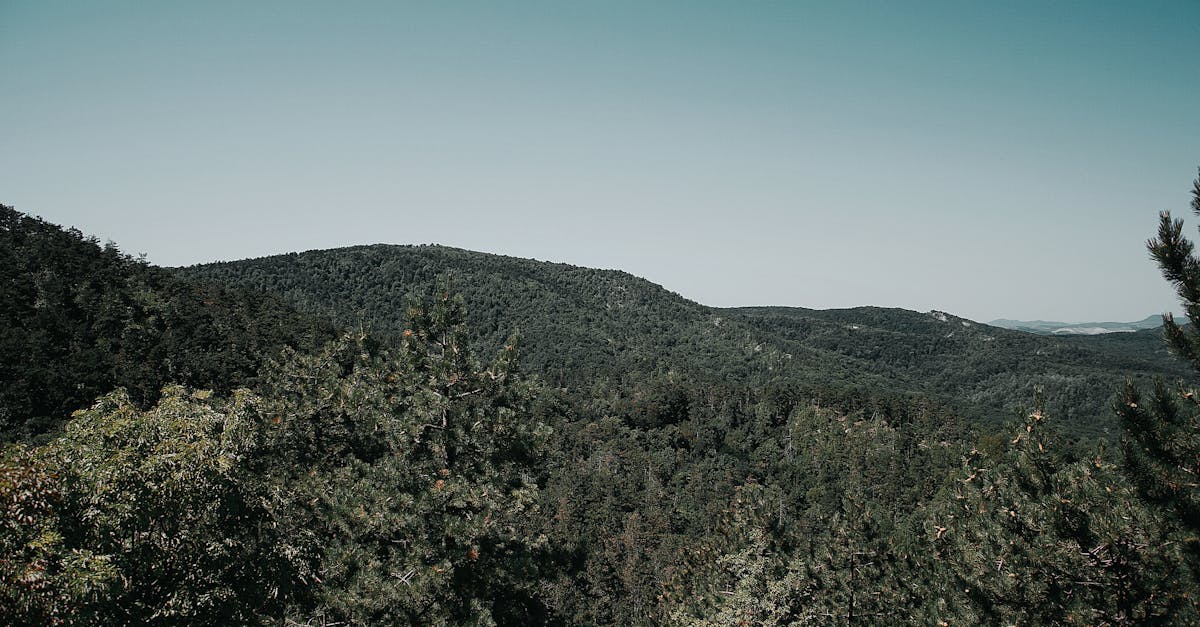 découvrez l'importance d'un pacte environnemental pour protéger la planète grâce à des engagements concrets en faveur du développement durable et de la préservation des ressources naturelles.