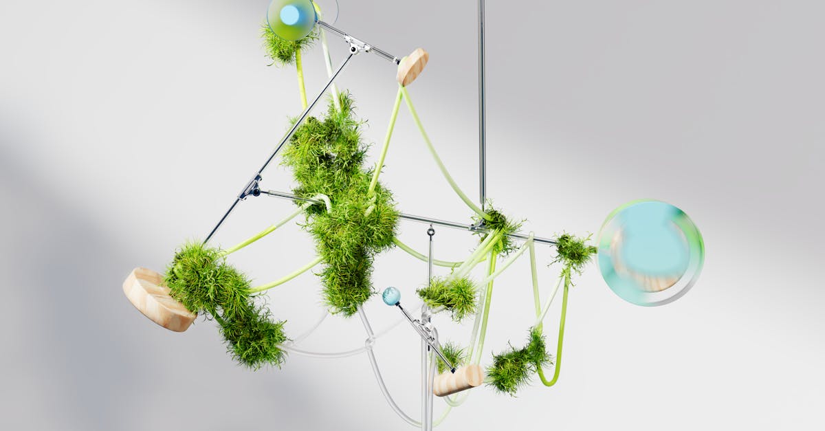 découvrez les dernières avancées en matière d'innovation verte : initiatives écologiques, technologies durables et solutions respectueuses de l’environnement pour un avenir plus propre.