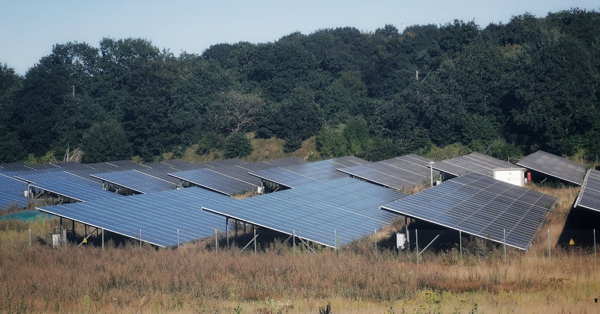 découvrez les dernières innovations en green technology pour un avenir plus durable. explorez comment les technologies vertes contribuent à la protection de l'environnement et à la transition énergétique.