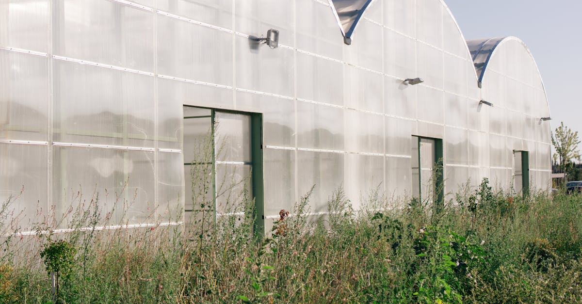 découvrez comment une politique industrielle durable peut transformer notre économie en intégrant des pratiques responsables tout en soutenant la croissance et l'innovation. explorez les stratégies pour favoriser l'écoresponsabilité et le développement durable dans le secteur industriel.