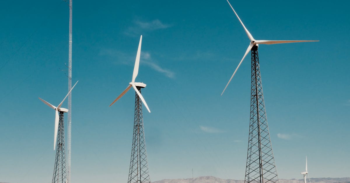 découvrez comment l'innovation durable permet de créer des solutions respectueuses de l'environnement, favorisant à la fois la croissance économique et la responsabilité sociale.