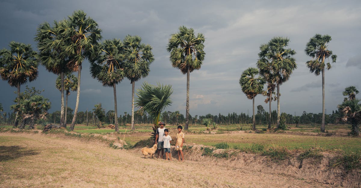 découvrez tout ce qu'il faut savoir sur les réglementations environnementales : définitions, objectifs, impacts sur les entreprises et l'environnement, et conseils pour s'y conformer en france et à l'international.