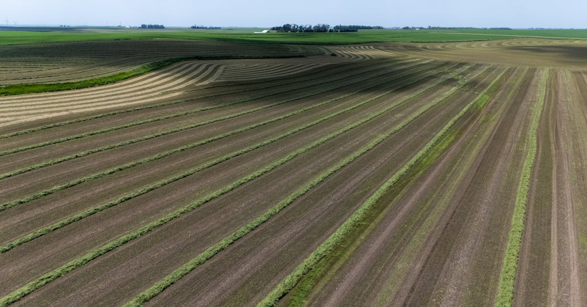 découvrez l'importance des green technologies pour un avenir durable : innovations écologiques, énergies renouvelables et solutions respectueuses de l'environnement pour préserver la planète.