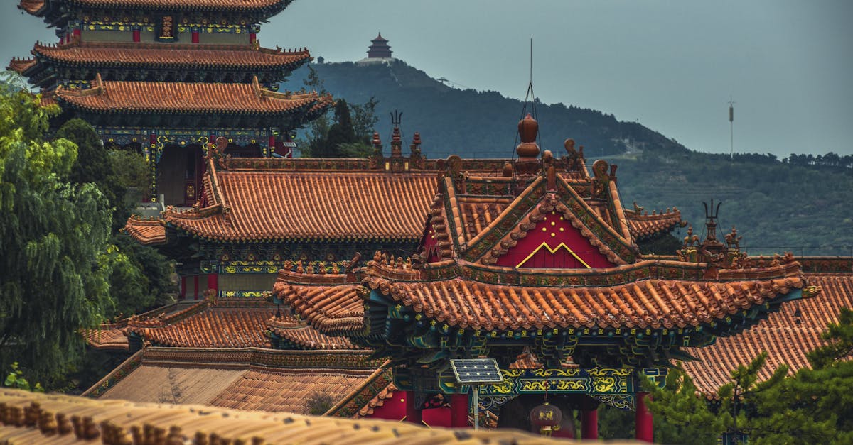 découvrez la chine, un pays fascinant mêlant traditions millénaires et modernité, riche en culture, paysages spectaculaires et innovations économiques. explorez ses sites historiques emblématiques et sa diversité unique.