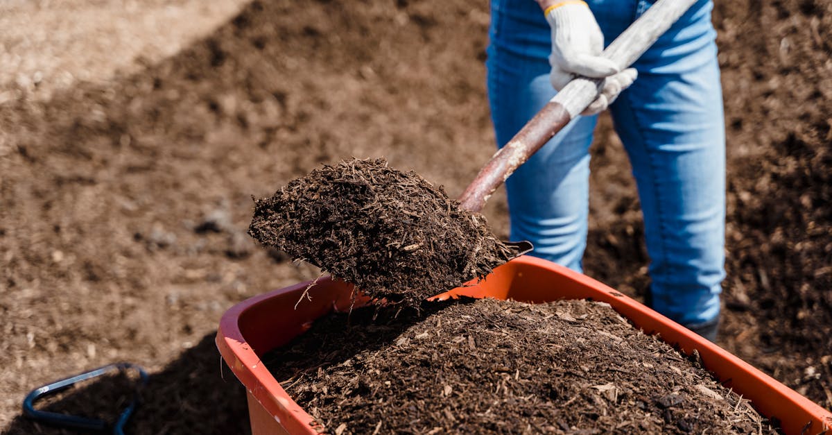 découvrez comment agir pour le climat : conseils, initiatives et actualités pour lutter efficacement contre le changement climatique et protéger notre planète.