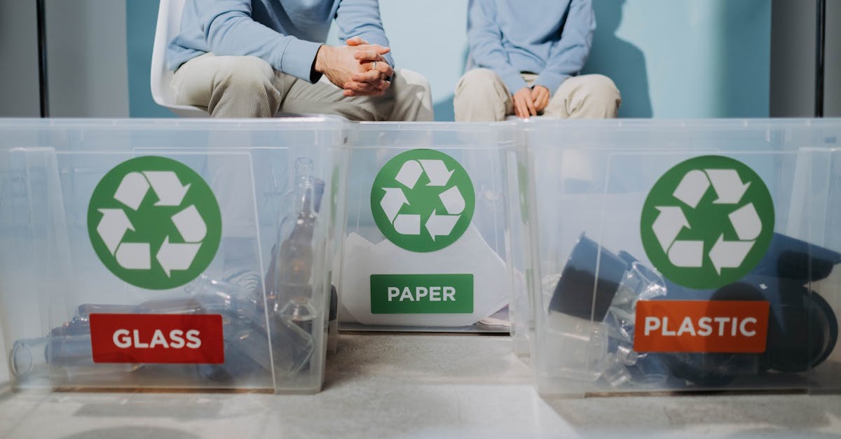 découvrez les actions concrètes pour lutter contre le changement climatique, promouvoir la durabilité et protéger notre planète grâce à des initiatives et conseils pour agir dès aujourd'hui.