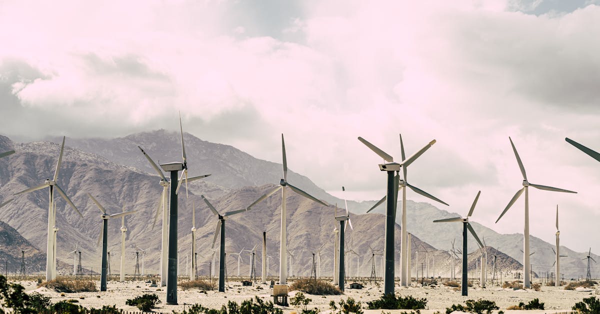 découvrez les actions clés pour lutter contre le changement climatique, réduire votre empreinte carbone et adopter des solutions durables pour préserver l’environnement.