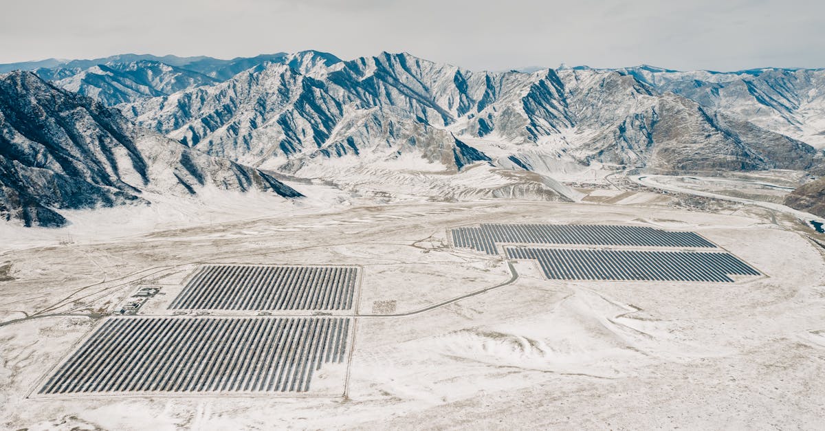 découvrez les actions concrètes pour lutter contre le changement climatique : initiatives écologiques, stratégies de réduction des émissions et conseils pour agir au quotidien en faveur de la planète.