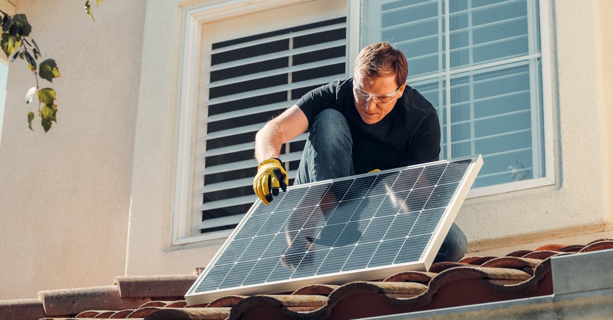 découvrez comment lutter contre le changement climatique grâce à des actions concrètes et des solutions innovantes pour un avenir plus durable.