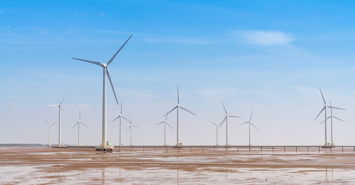 agissez pour le climat dès aujourd'hui : découvrez des solutions concrètes, des conseils et des initiatives pour lutter contre le changement climatique et protéger notre planète.