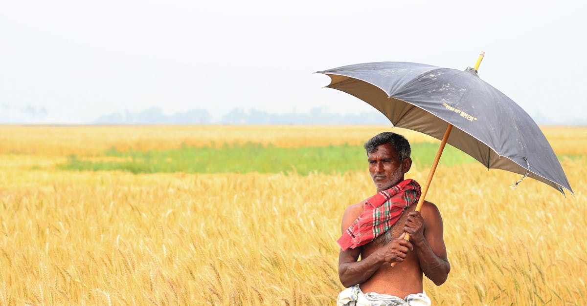 découvrez les stratégies d'adaptation au changement climatique, l'importance de s'y préparer et les actions à mettre en œuvre pour protéger l'environnement et les communautés face aux nouveaux défis climatiques.