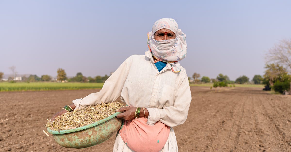 découvrez les stratégies d’adaptation au changement climatique : définitions, exemples concrets et solutions pour s’adapter aux impacts environnementaux, économiques et sociaux du climat.