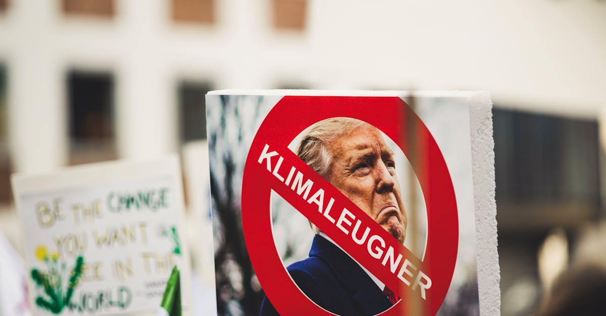 découvrez comment l'adaptation au changement climatique permet de limiter les impacts environnementaux, sociaux et économiques, et explorez des stratégies innovantes pour renforcer la résilience face aux défis climatiques.