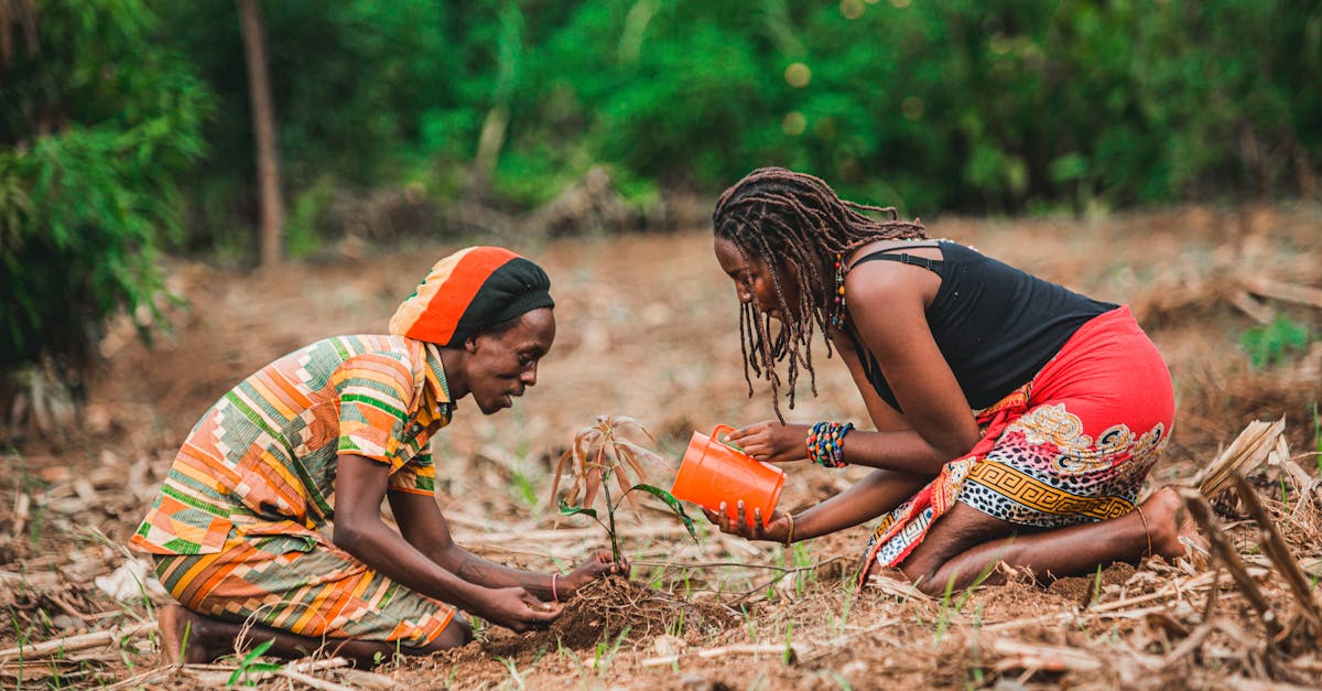 découvrez l'importance de la sensibilisation au changement climatique, ses impacts sur notre quotidien et comment chacun peut agir pour préserver l'environnement. informez-vous et devenez acteur du changement.