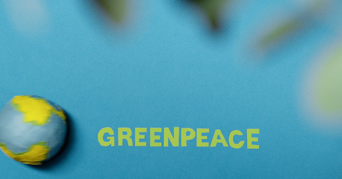 sensibilisez-vous au changement climatique : découvrez les enjeux environnementaux, les causes du réchauffement de la planète et les actions à mettre en place pour préserver notre avenir.